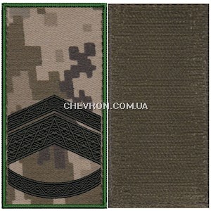 Погон
