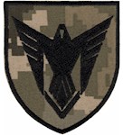 Шеврон Сили безпілотних систем ЗСУ