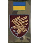 Шеврон-заглушка на липучці 95 ОДШБр