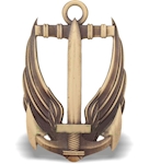 Беретний знак Морська піхота ВМС