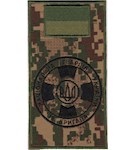 Шеврон-заглушка на липучці 19 бригада НГУ (польовий прапорець)