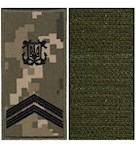 Погон морської охорони з емблемою старшина 2 статті (на липучці)