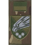 Шеврон-заглушка на липучці 25 повітряно-десантна бригада (польовий прапорець)