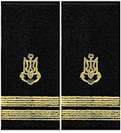 Погони ВМС  старший лейтенант (муфта)