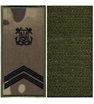 Погон морської охорони з емблемою старшина 2 статті (на липучці)