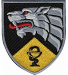 Шеврон ССО Медична служба (кольоровий)