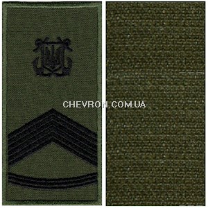 Погон