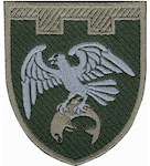 Шеврон 255 ОБ 123 ОБр ТРО ЗСУ