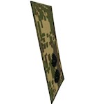 Погон НГУ лейтенант (хижак, кант зелений, 3D, на липучці)