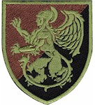 Шеврон ГЦзОДТ