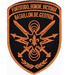 Шеврон  155 ОМБр Bataillon de gestion