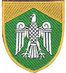 Шеврон Чернівецький ОТЦК та СП (кольоровий)