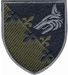 Шеврон 145 Командно-розвідувальний пункт Морської піхоти