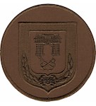 Шеврон НГУ Херсон