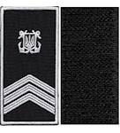 Погон морської охорони з емблемою старшина 1 статті (нитка біла, на липучці)