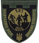 Шеврон 181 ОНБ