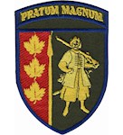 Шеврон 65 ОМБр Pratum magnum