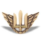 Беретний знак Повітряних військ