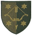 Шеврон 10 армійський корпус