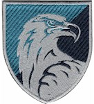 Шеврон 426 окремий полк безпілотних систем (кольоровий)