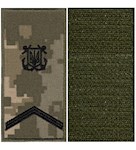 Погон морської охорони з емблемою старший матрос (на липучці)