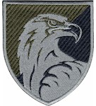 Шеврон 426 окремий полк безпілотних систем