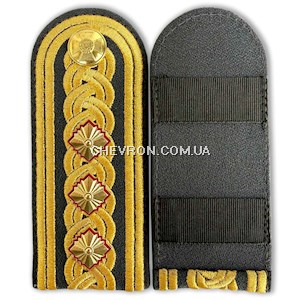 Погони парадні ССО полковник