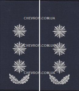 Погони
