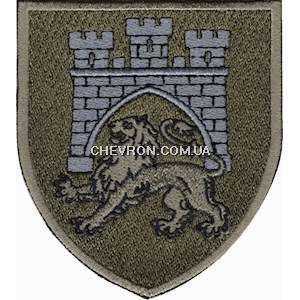 Шеврон 125 окрема важка механізована бригада