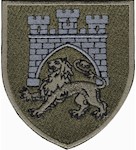 Шеврон 125 окрема важка механізована бригада