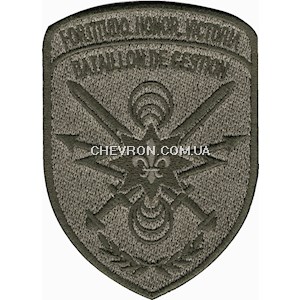 Шеврон  155 ОМБр Bataillon de gestion