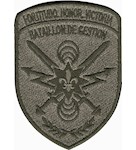 Шеврон  155 ОМБр Bataillon de gestion