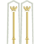 Погони лісної охорони вишиті молодшего складу 1 зірка