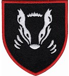 Шеврон 41 ОМБр (кольоровий)