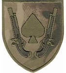 Шеврон 21 ОМБр (Піка та пістолети)