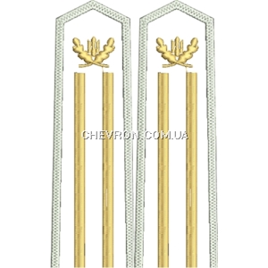 Погони