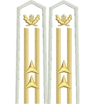 Погони лісної охорони вишиті старшого складу 2 зірки