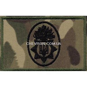 Кокарда-заглушка