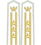 Погони лісної охорони вишиті старшого складу 3 зірки