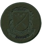 Шеврон Дніпро