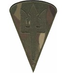 Шеврон Морська піхота (крапля, тризуб)