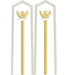 Погони лісної охорони вишиті молодшего складу