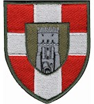Шеврон 100 ОМБр (2 варіант, кольоровий)