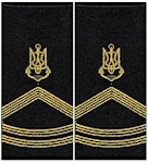 Погони ВМС  мічман (муфта)